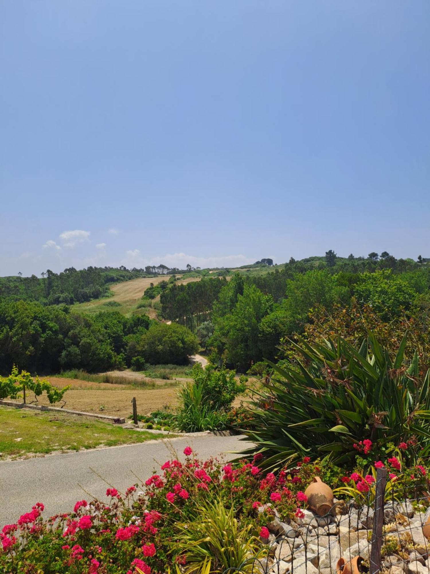 Quinta Da Fonte - Casa Da Charrete Villa Caldas Da Rainha Buitenkant foto